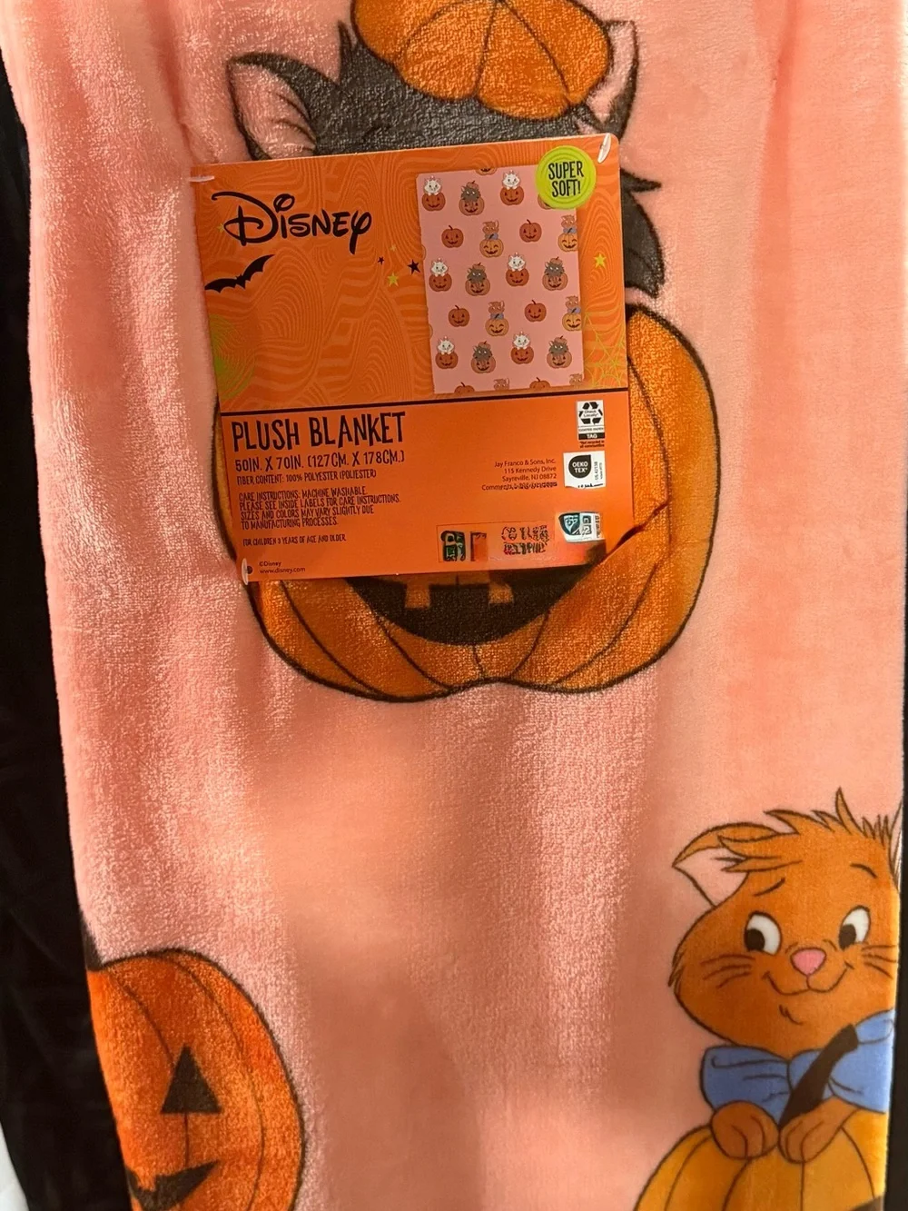 Disney Pumpkin & Character Marie the Cat Pink Plush Blanket